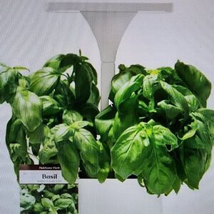 Short Stories LED Indoor Planter